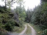  Wanderroute auf schnen Waldwegen 