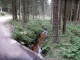  Blick auf dem Weinbergbach 