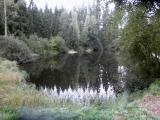  Blick zum Teich 1 und ... 