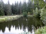  ... Blick zum Teich 2 