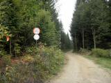  Wanderroute auf der Forststrae 