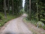  Wanderroute auf der Forststrae 
