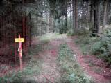  schner Wanderweg 