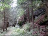 schner Wanderweg mit imposanten Granitformationen 