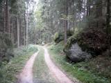 Wanderroute auf einer Forststrae mit imposanten Granitformationen 