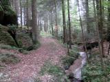 schner Wanderweg entlang des Schwarzaubachs 