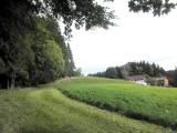  Wanderweg bergan auf die Anhhe 