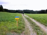 Wanderroute auf Gterwegen wieder mit der 10 km Strecke vereint  