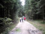  Wanderroute auf der Forststrae 