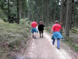  Wanderroute auf der Forststrae 