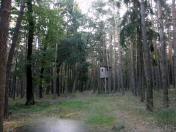 Waldwanderweg am Schwarzberg 