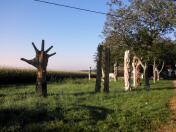  Holzskulpturen beim Ghs "Zur schnen Aussicht" 