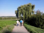  Wanderroute auf dem Skulpturenwanderweg 