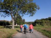 Wanderroute ber den Sandweg 