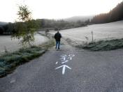  Wanderweg kurz nach Rappottenstein 