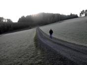 der Sonne entgegen 