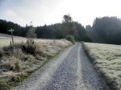  Wanderweg leicht bergan 