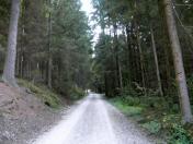  Wanderroute auf schnen Forstwegen 