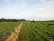  Wanderweg durch die Riede Hoflss 
