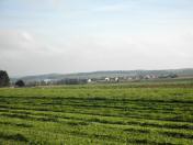  schner Fernblick nach Groweienbach 