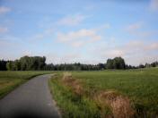  Wanderweg durch die Riede Mhlauwiesen 