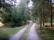  Wanderroute auf schnen Forstwegen 