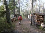 Wanderroute auf schnen Forstwegen 