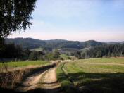  Wanderweg bergab nach Roiten 