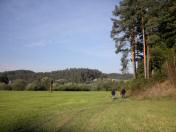  Blick auf die Wanderstrecke 