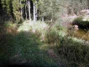  schner Wanderweg entlang des Kamps 