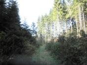  schner Wanderweg 