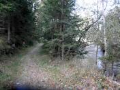  schner Wanderweg entlang des Kamps 