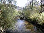  der Blick von der Brcke flussabwrts 