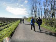 Wanderroute auf der Landstrae durch die Riede "Alte Haid" 