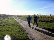  Wanderroute durch die Riede "Alte Haid" 