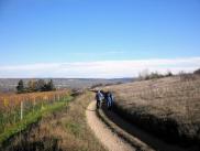  Wanderroute durch die Riede "Auf der Haid" 