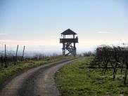  Aussichtswarte auf dem Plateau des Hhenrcken des Gobelsbergs 