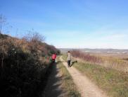  Wanderroute durch die Riede "Auf der Haid" 
