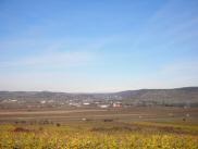  Fernblick ber Gobelsburg ins Kamptal 