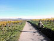  Wanderroute durch die Riede Redling 