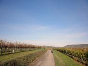  Wanderroute durch die Riede Redling 