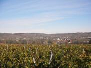 Fernblick nach Hadersdorf am Kamp und weiter nach Stra im Straertale