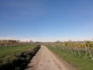  Wanderroute durch die Weinrieden bei Zeiselberg 