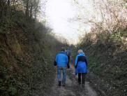  Wanderroute durch den Gobelsburger Spiegelgraben 
