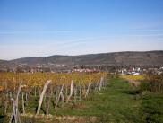  Fernblick zum Heiligenstein 