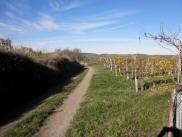  Wanderroute durch die Riede "uerer Spiegel" 