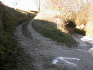  Wanderroute in die Riede "Panzaun" 