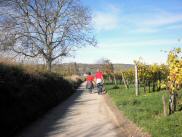  Wanderroute durch die Riede "Panzaun" 
