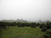  nochmals der Blick nach Christkindl 