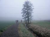  Wanderweg entlang des Moosbachl 